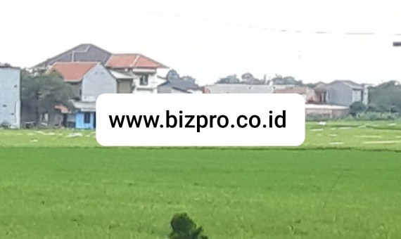 Tanah Luas 10 Ha di Pinggir Jalan Raya Cikarang Barat