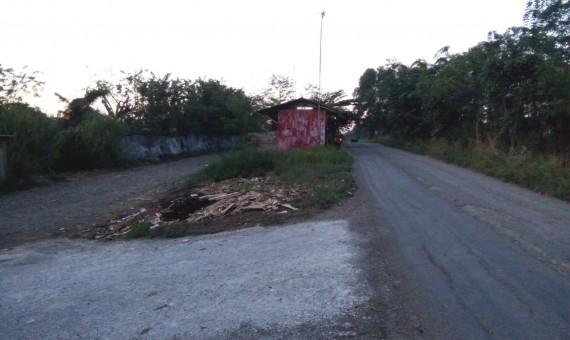 Tanah Seluas 100 Ha di Desa Mekar Jaya, Karawang Timur