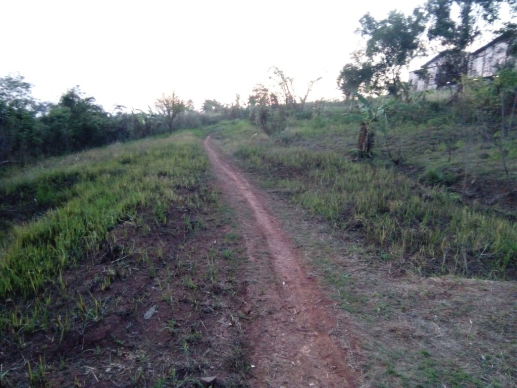 Tanah Seluas 100 Ha di Desa Mekar Jaya, Karawang Timur — foto 4