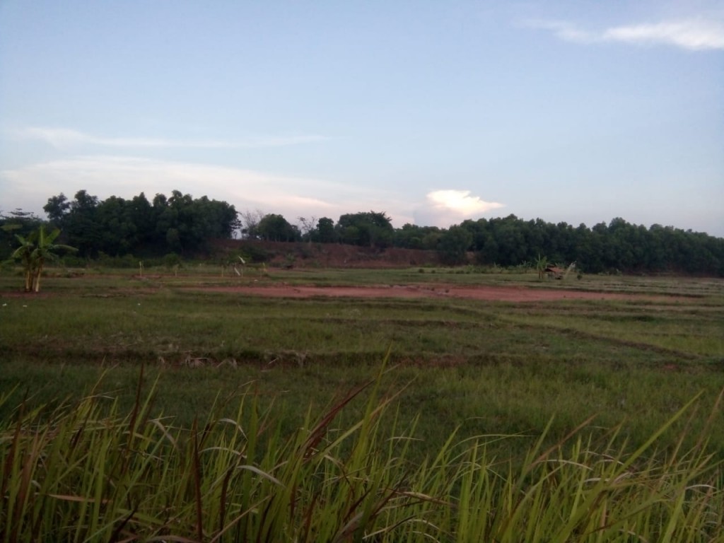 Tanah Seluas 100 Ha di Desa Mekar Jaya, Karawang Timur — foto 5