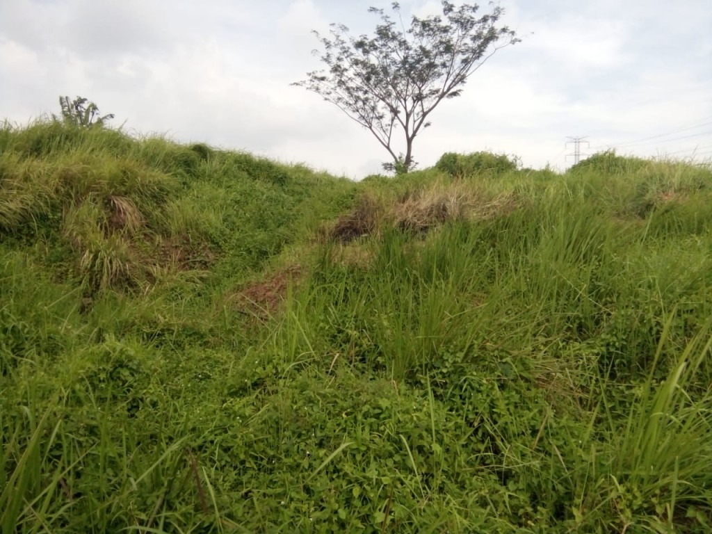 Tanah Seluas 35 Ha di Desa Parung Mulya, Karawang Timur — foto 5