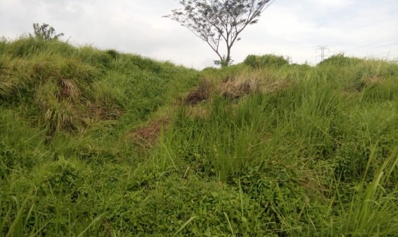 Lahan Tanah Kosong 2,6 Ha di Pinggir Jalan Karawang Barat