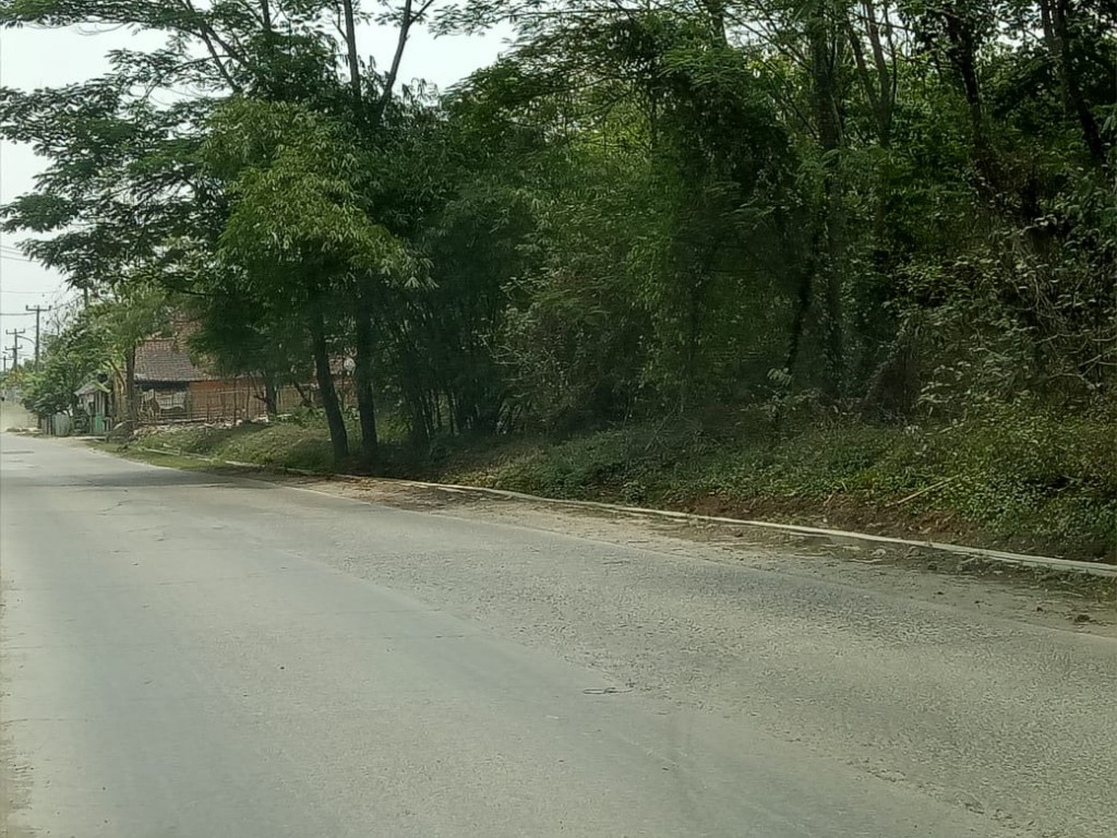 Lahan Tanah Kosong 2,6 Ha di Pinggir Jalan Karawang Barat — foto 3