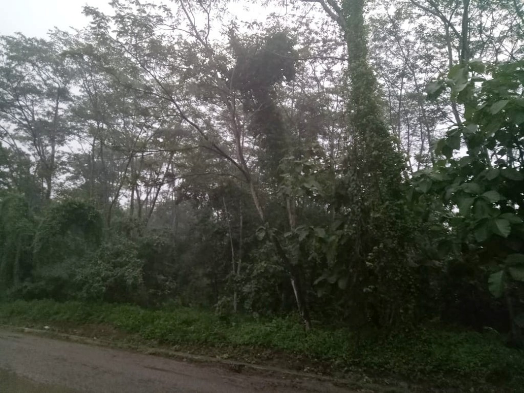 Lahan Tanah Kosong 2,6 Ha di Pinggir Jalan Karawang Barat — foto 4