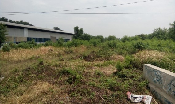 Tanah Strategis 2 Ha di Pinggir Jalan Pantura