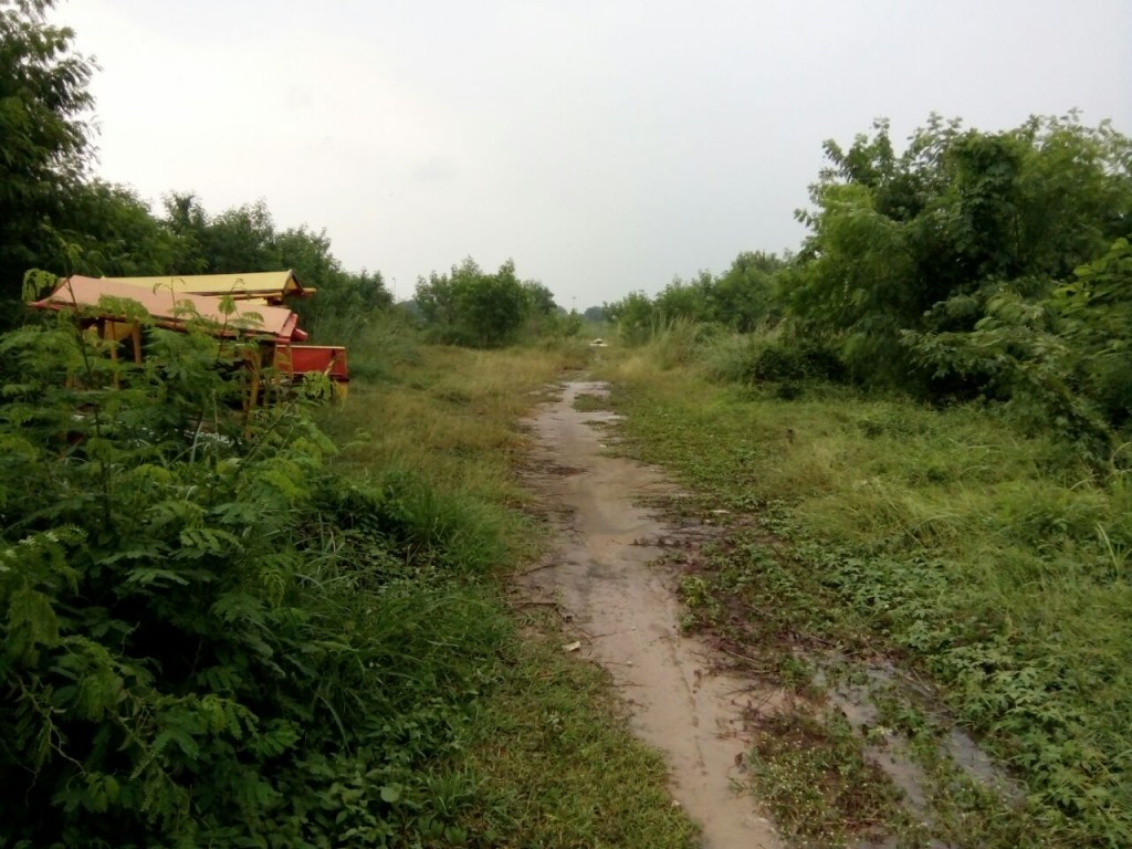 Tanah Strategis 2 Ha di Pinggir Jalan Pantura — foto 2
