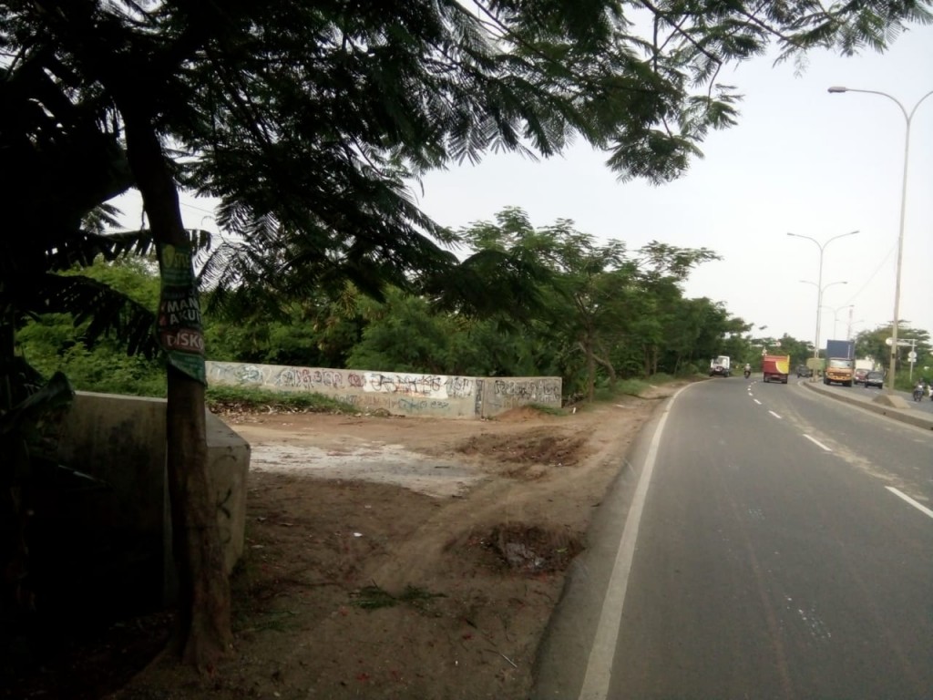 Tanah Strategis 2 Ha di Pinggir Jalan Pantura — foto 3
