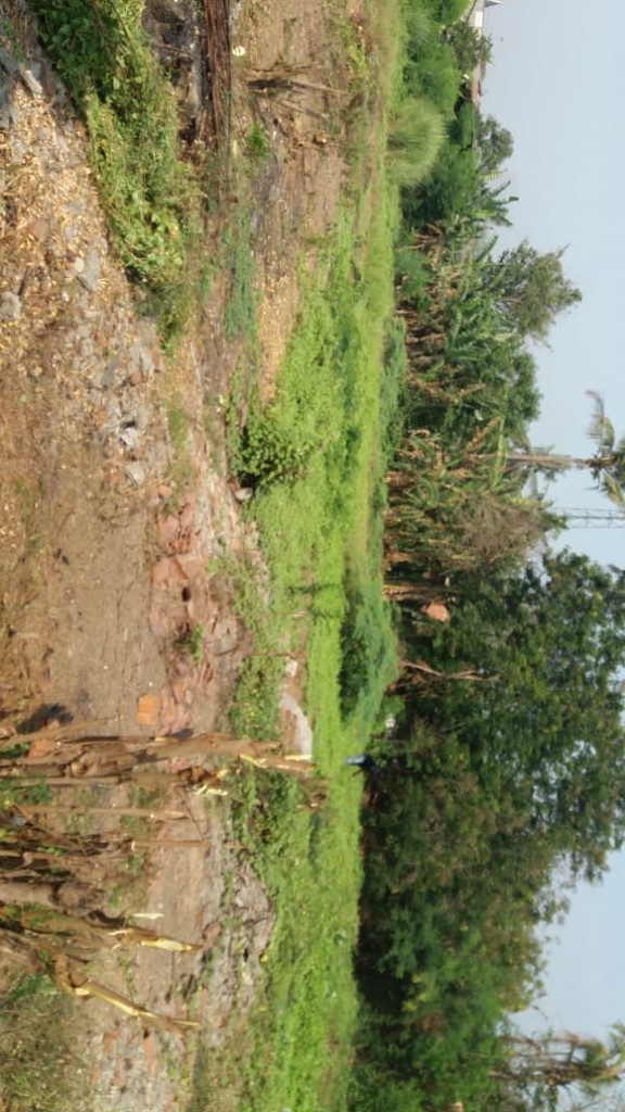 Tanah Darat Siap Bangun di Pinggir Jalan Raya Kalangsari Rengas Dengklok — foto 3