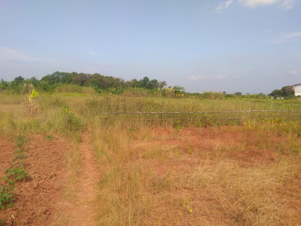 Kavling Industri di Kawasan Industri Samudra Karawang Dkt Kawasan KIIC dan Kawasan Surya Cipta Karawang — foto 1