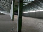 Gudang Kawasan Industri Hyundai Lippo Cikarang (1)