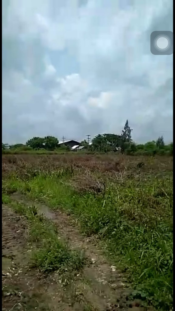 Dijual Tanah Shm Zona Industri Tuban, Jawa Timur — foto 3