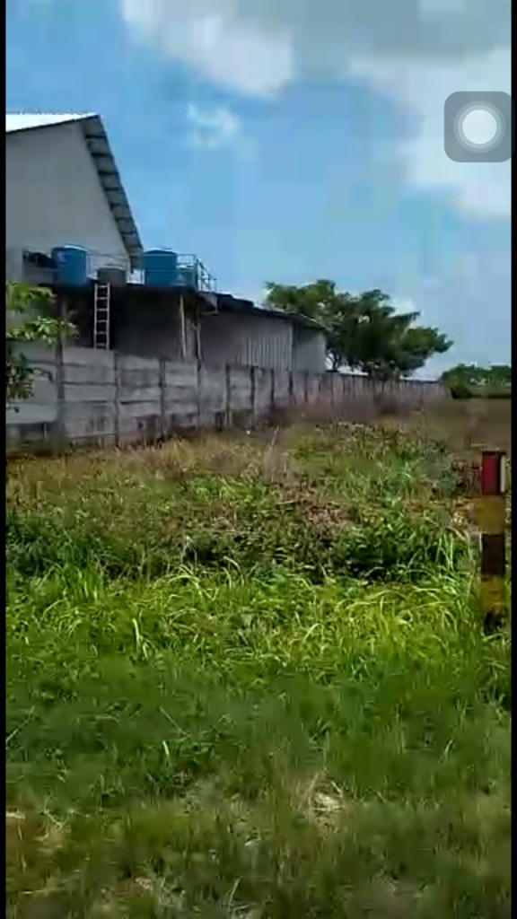 Dijual Tanah Shm Zona Industri Tuban, Jawa Timur — foto 5
